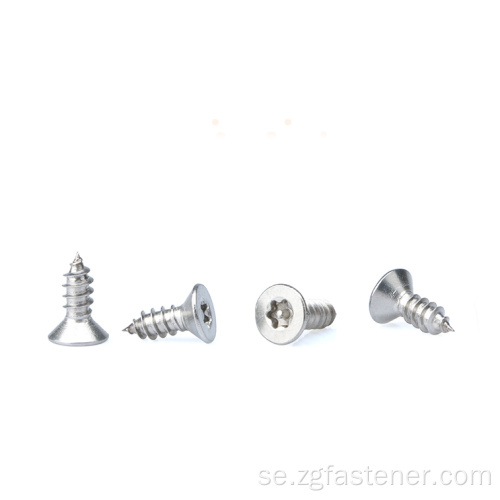 SUS304 Rostfritt stål Plum Countersunk Head Tapping Skruv